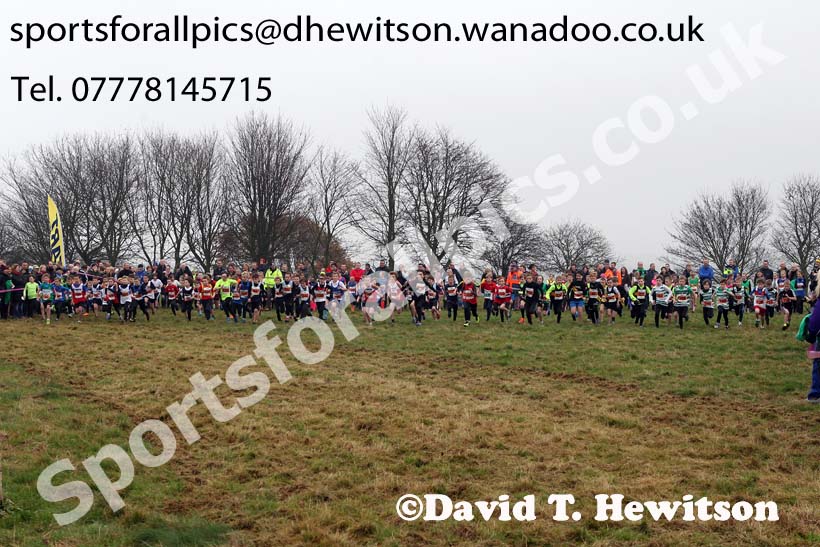 Under-11s NEHL, Aykley Heads, Durham. Photo: David T. Hewitson/Sports for All Pics